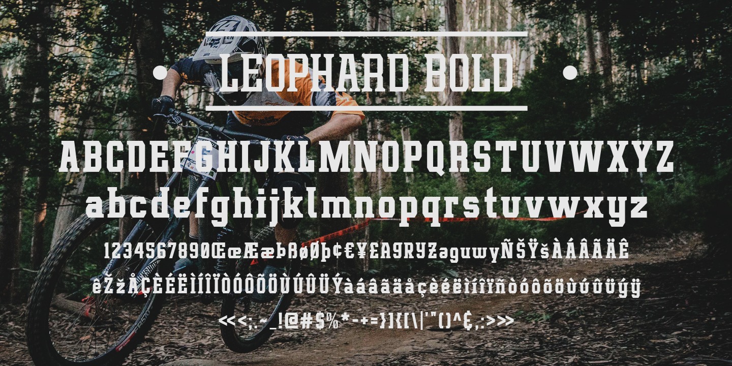 Beispiel einer Leophard-Schriftart #9